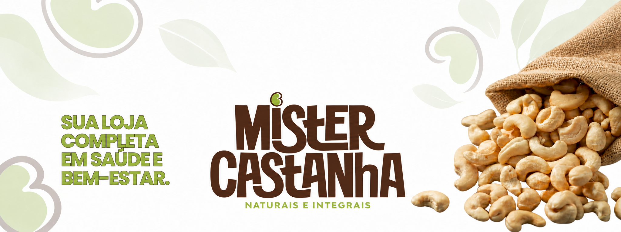 Mister Castanha: castanhas para descobrir
